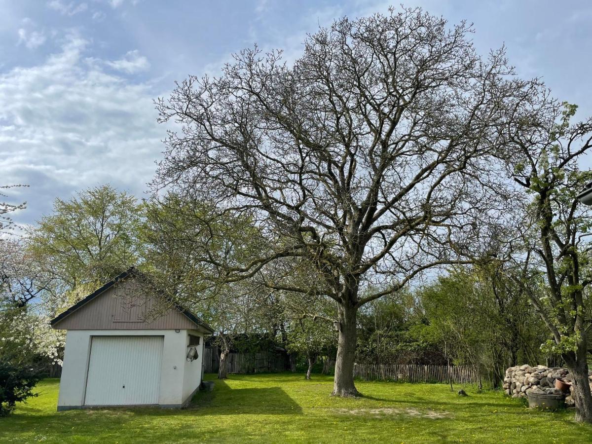 Kleines Haus Am Feld Villa Rehna Екстериор снимка
