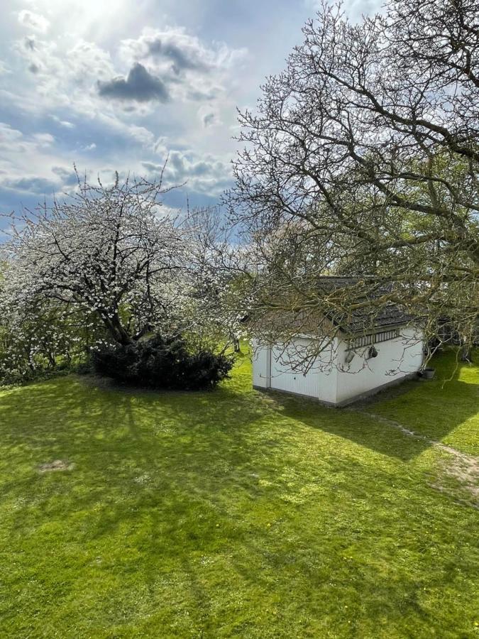 Kleines Haus Am Feld Villa Rehna Екстериор снимка